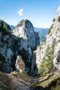 Vertical shot of tall cliffs in the countryside