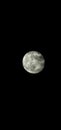 Vertical shot of the textured gray full moon in a night sky