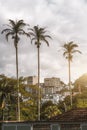Residential district with the palms in the foreground Royalty Free Stock Photo