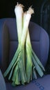 Vertical shot of three pieces of leek on a car seat