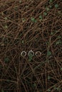 Vertical shot of three rings put on a surface of  small narrow wooden branches Royalty Free Stock Photo