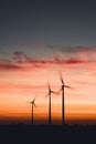 Vertical shot of three wind turbines isolated on the background of the pink sky Royalty Free Stock Photo