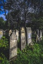 Vertical shot of the tombstones in the Jewish Cemetery on a sunny day in Radauti town, Romania