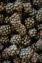 Vertical shot and top view shot. Blackberries. Full frame of blackberries