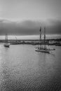 Vertical shot of topsail schooners in Vineyard Haven harbor