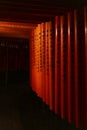 Vertical shot of the torii gates tunnel