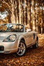 Vertical shot of Toyota MR2 Spyder Car on autumn background Royalty Free Stock Photo