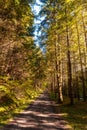 Vertical shot of a trail near the Irabia reservoir in Ochagavia, Spain