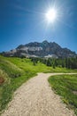 Vertical shot of a trail surrounded by green vegetation and mountains in the background. Royalty Free Stock Photo