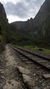 Vertical shot of train tracks with a scenic nature background on a cloudy day Royalty Free Stock Photo