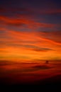 Vertical shot of a tranquil vibrant orange sunset in the sky