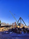 Vertical shot of tree logs with a lifting crane in the background