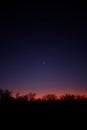 Vertical shot of tree silhouettes of a purple orange sunset sky