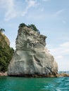 Vertical shot of trees at the top of the cliff in Te Whanganui-A-Hei (Cathedral Cove Royalty Free Stock Photo