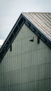 Vertical shot of a triangle roof of a building