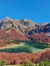 Vertical shot of trnovacko lake with surrounding red WillowPlants under sunny sky