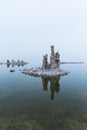 Vertical shot of tufa formation and its reflection on Mono Lake in California Royalty Free Stock Photo