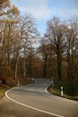 Vertical shot of a twisting road through bare forest trees in the fall Royalty Free Stock Photo