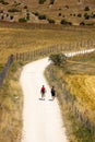 Vertical shot of two male hikers walking on a dirt road in the middle of a farm field Royalty Free Stock Photo