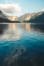 Vertical shot of two mallard ducks swimming at a lake in Hallstatt, Austria Royalty Free Stock Photo