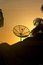 Vertical shot of an umbrella silhouette and palm tree branches on a golden sunset sky background Royalty Free Stock Photo