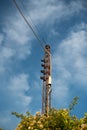 Vertical shot of a utility pole rising above a tree with cloudy blue sky above Royalty Free Stock Photo