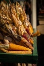 Vertical shot of a variety of dried corns in a wooden box in an outdoor market