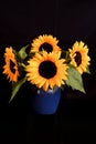 Vertical shot of a vase of sunflowers on a black background