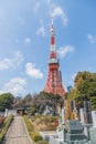 Vertical shot of the view of the Tokyo Tower at the cemetery in Japan