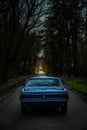 Vertical shot of a vintage blue Ford Mustang sports car on a dark park trail