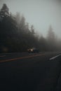 Vertical shot of a vintage car driving on the road with a forest around covered in fog Royalty Free Stock Photo