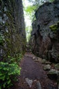 Vertical shot of a walking trail through Lake Superior Provincial Park in Ontario, Canada Royalty Free Stock Photo