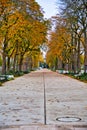 Vertical shot of a walkway in a park surrounded by trees and benches in autumn