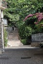 Vertical shot of walkway stairs, green plants, fences at daytime