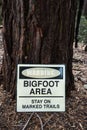 Vertical shot of a warning sing in the forest: bigfoot area, stay on marked trails