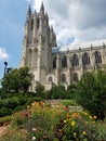 Vertical shot of the Washington National Cathedral, Washington, D.C., United States Royalty Free Stock Photo