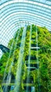 Vertical shot of Waterfall of the Cloud Forest in Gardens by the Bay in Singapore.