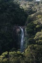 Vertical shot of a waterfall flowing through the rocks surrounded by dense forest Royalty Free Stock Photo