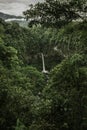 Vertical shot of waterfall in the middle of the green vegetation of the tropical jungle of Costa Rica