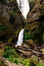 Vertical shot of the waterfall Wahclella Falls in the USA
