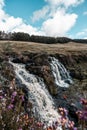 Vertical shot of a waterfall, woods and wild violet flowers under a blue cloudy sky