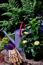 Vertical shot of watering can, garden gloves, roses, salvias, and ferns in the garden