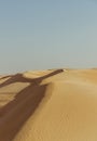 Vertical shot of the Western Desert near the Siwa Oasis in sunny weather Royalty Free Stock Photo