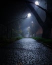 Vertical shot of wet cobblestone road by the park illuminated by lanterns at night Royalty Free Stock Photo