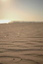 Vertical shot of wet sand with wavy pattern on beach with blurry ocean background Royalty Free Stock Photo