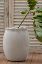Vertical shot of a white ceramic flower pot with a green plant Royalty Free Stock Photo