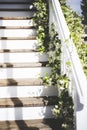 Vertical shot of a white stairway with wooden padding, decorated with white flowers