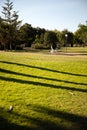 Vertical shot of a White Swiss Shepherd mixed with English pointer running on a green grass Royalty Free Stock Photo