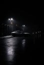 Vertical shot of white Tesla S parked in a dark, moody parking lot