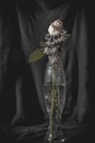 Vertical shot of a white withered rose in a flower vase on a black background Royalty Free Stock Photo